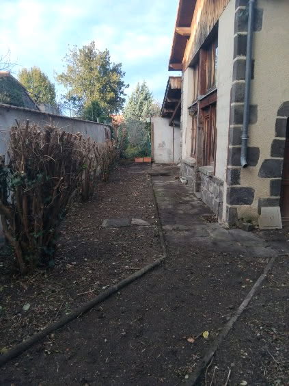 Élagage